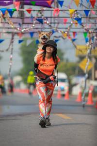 BIB: 
                            <button type="button" onclick="openModal(9857411)" class="btn btn-primary btn-sm float-right btn-popup" data-toggle="modal" data-target=".modal-high-quality">
                        <i class="fas fa-shopping-cart"></i> Add to Cart
                    </button>
                                            <button type="button" onclick="isThisMe(9857411, true)" class="btn btn-success btn-sm float-right btn-popup btn-isme hidden" data-toggle="tooltip" data-placement="bottom" title="นี่คือรูปของคุณใช่ไหม คลิกที่นี่เพื่อเอาเข้าอัลบั้ม">
                        <i class="fas fa-plus"></i> Add to album
                    </button>
                    <button type="button" onclick="isThisMe(9857411, false)" class="btn btn-warning btn-sm float-right btn-popup btn-isnotme hidden">
                        <i class="fas fa-ban"></i> Remove from album
                    </button>